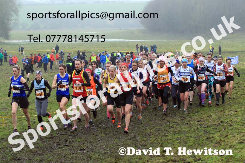 Senior womens 2022 North Eastern Harrier League, Thornley Farm, Peterlee, County Durham. Photo: David T. Hewitson/Sports for All Pics